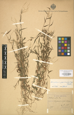 LE 01001075