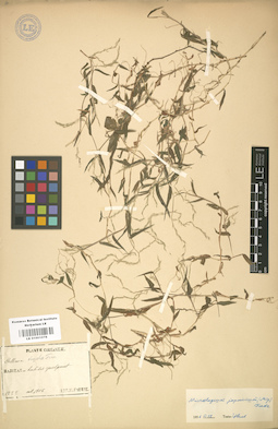 LE 01001076