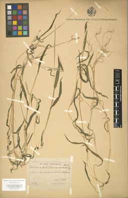 LE 01001079