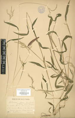 LE 01001080