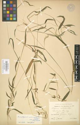 LE 01001081