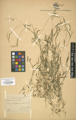 LE 01001082