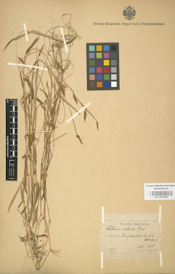 LE 01001083