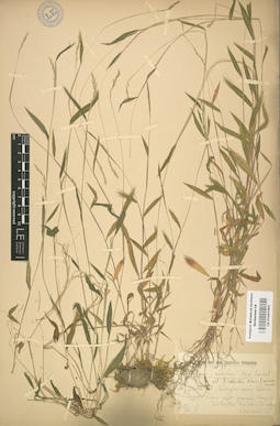 LE 01001084