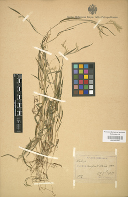 LE 01001085