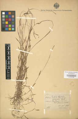 LE 01001086