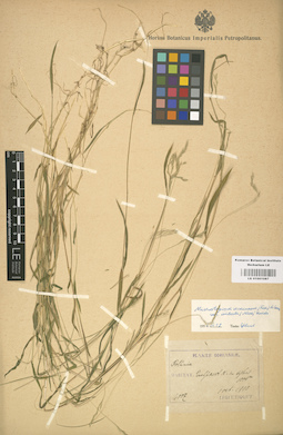 LE 01001087