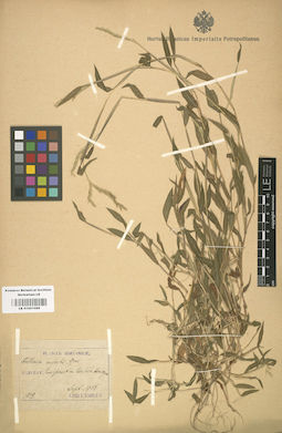 LE 01001088