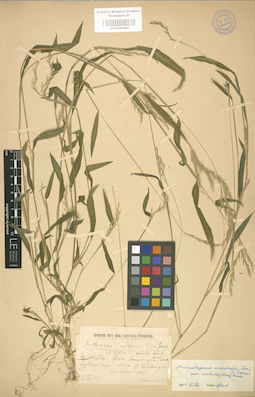 LE 01001089