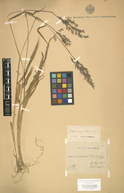 LE 01001090