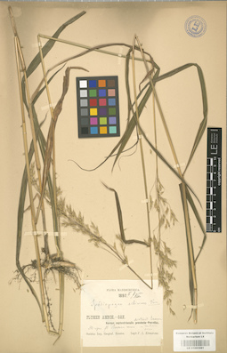 LE 01001091