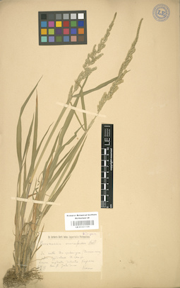 LE 01001106
