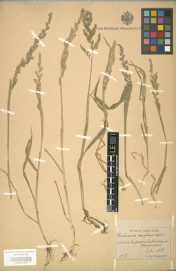 LE 01001107