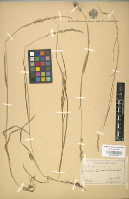 LE 01001108