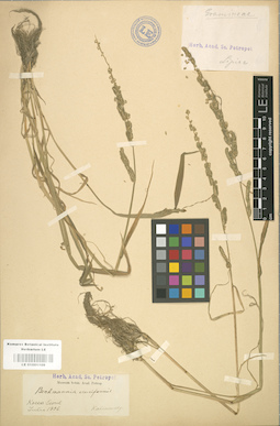 LE 01001109
