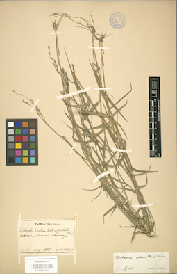 LE 01001121