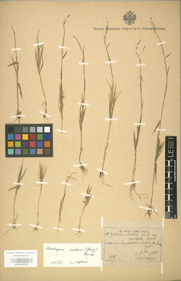 LE 01001122