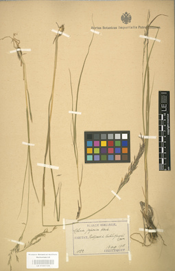 LE 01001124