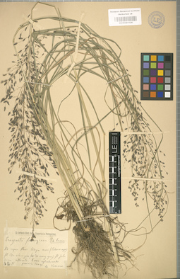 LE 01001126
