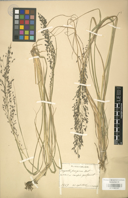LE 01001127