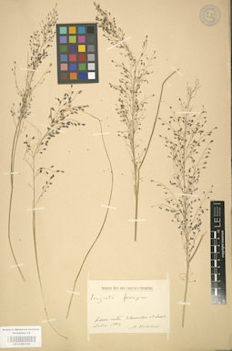 LE 01001129