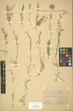 LE 01001134