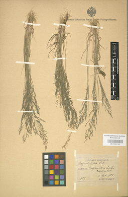 LE 01001138