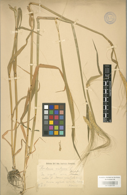 LE 01001155