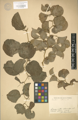 LE 01001158
