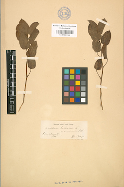 LE 01001169