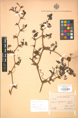 LE 01001176