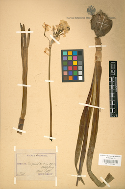 LE 01001180