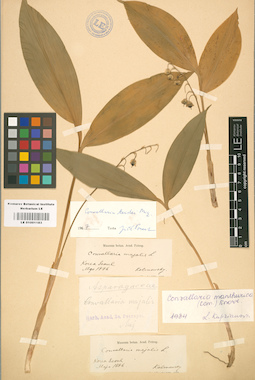 LE 01001183