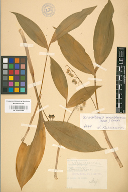 LE 01001186