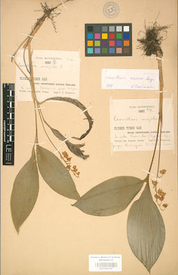 LE 01001187