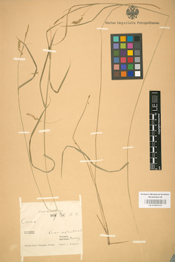 LE 01001212