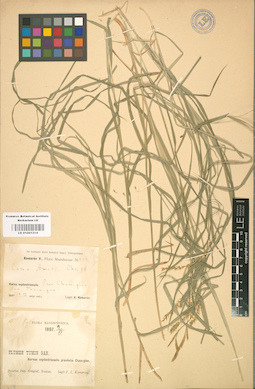 LE 01001214
