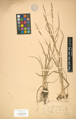 LE 01001225