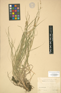 LE 01001245