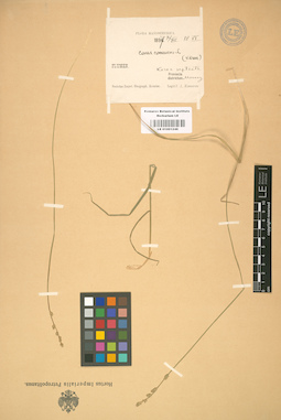 LE 01001246
