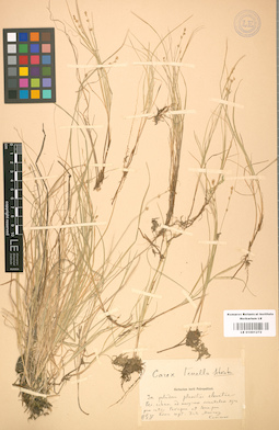 LE 01001272
