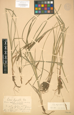 LE 01001282