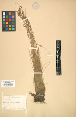 LE 01001300