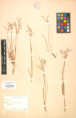 LE 01001301