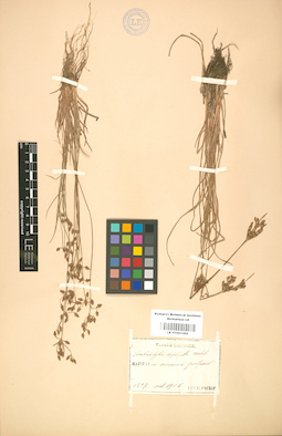 LE 01001302