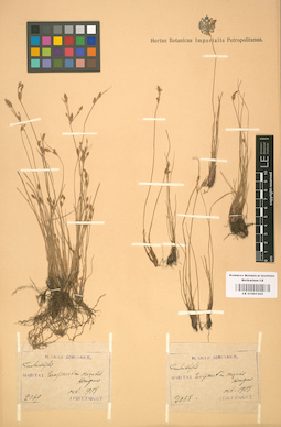 LE 01001305