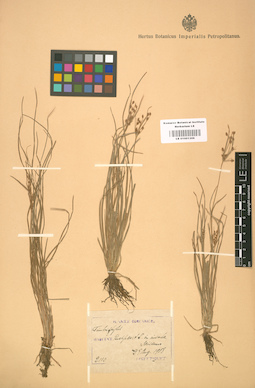 LE 01001306