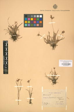 LE 01001307
