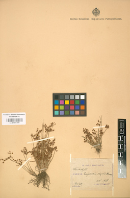 LE 01001308
