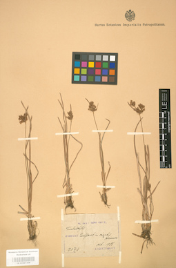LE 01001309